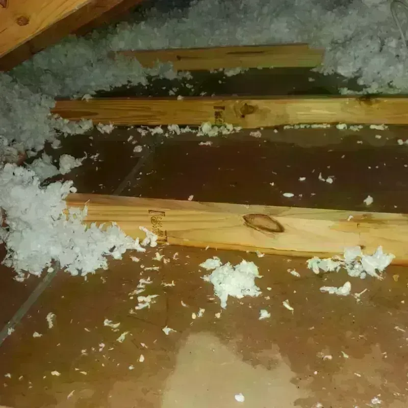 Attic Water Damage in London, KY